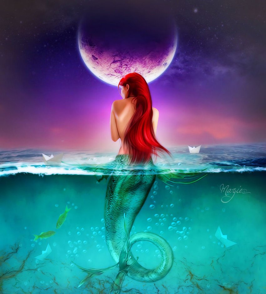 Dragonne d’eau