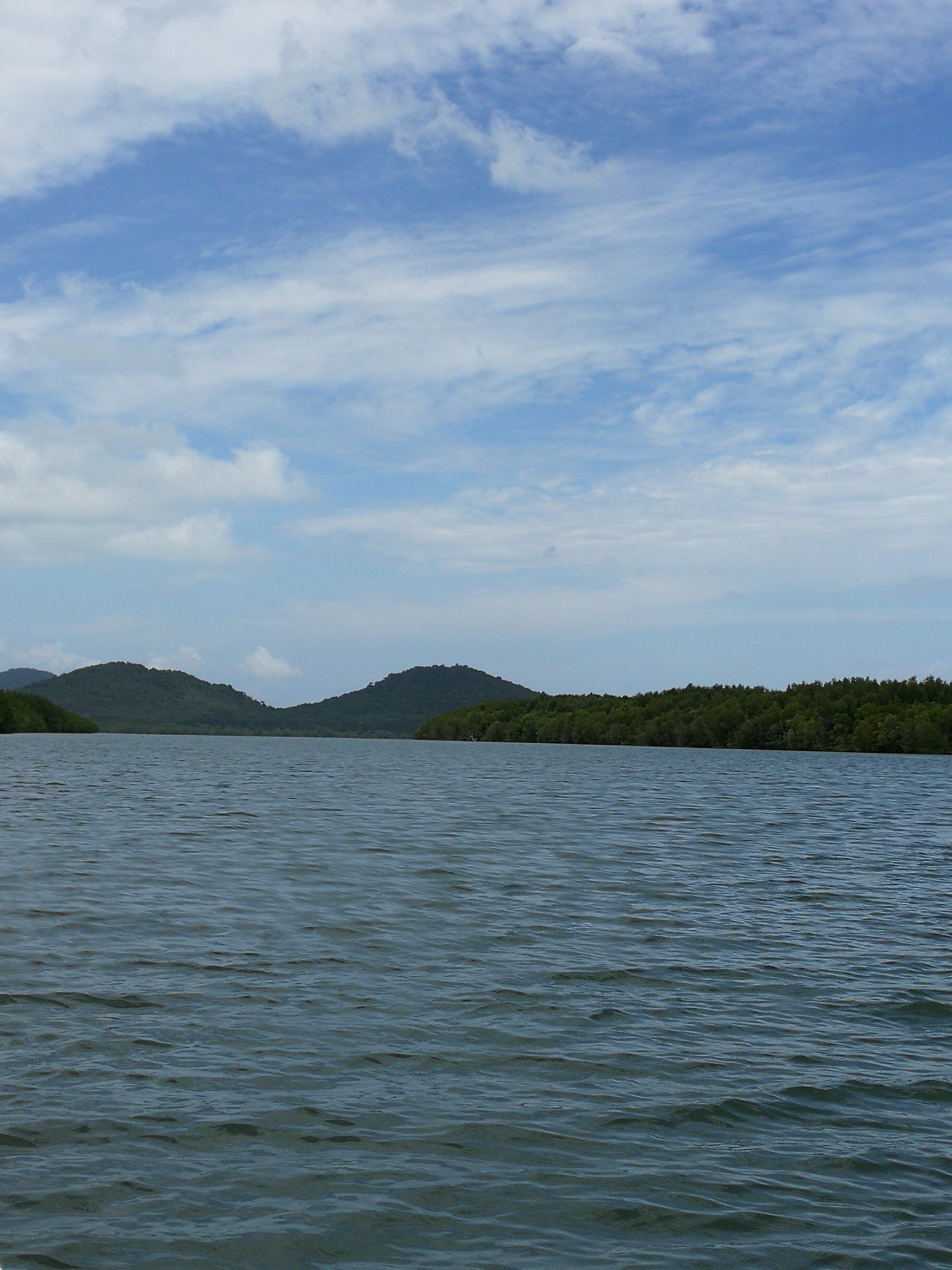 Les filles du cours de step