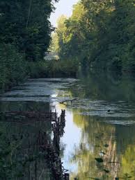 Clé d’interprétation de rêve : la rivière