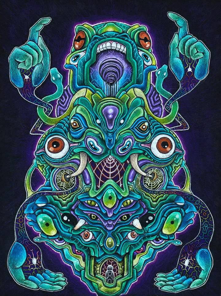 Les influenceuses à&nbsp;Dubaï