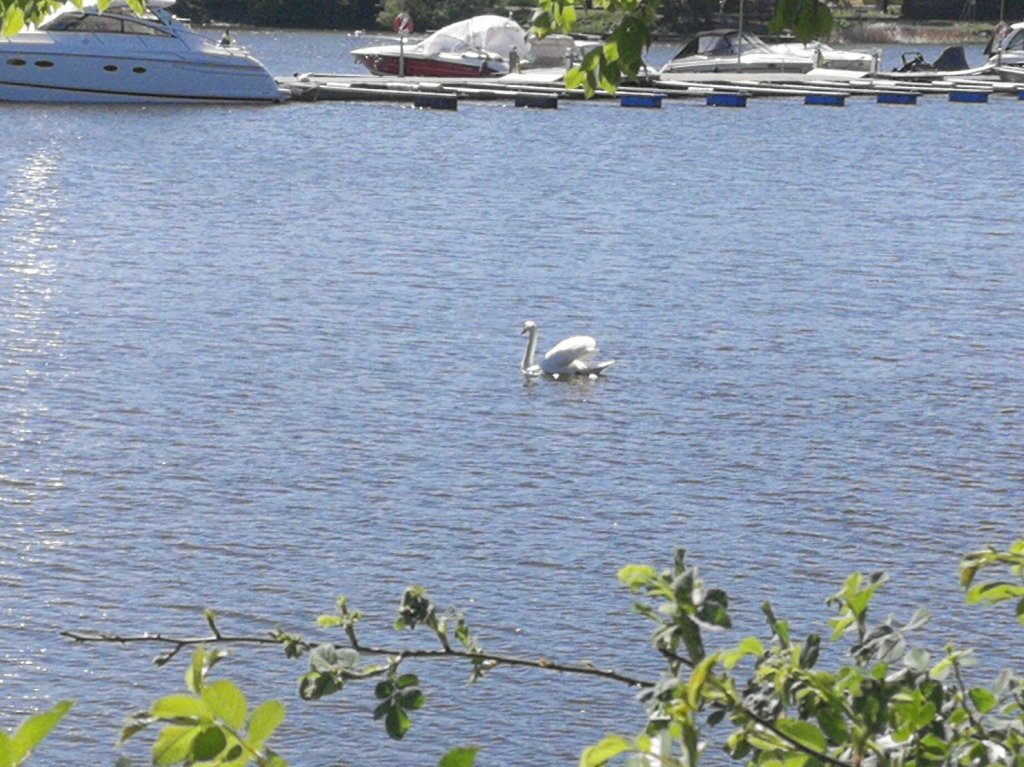 Flammes jumelles: combien de&nbsp;temps?