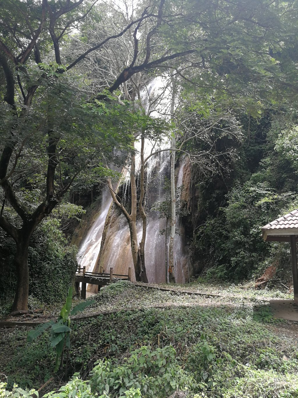 Choisis d&rsquo;aimer la&nbsp;vie