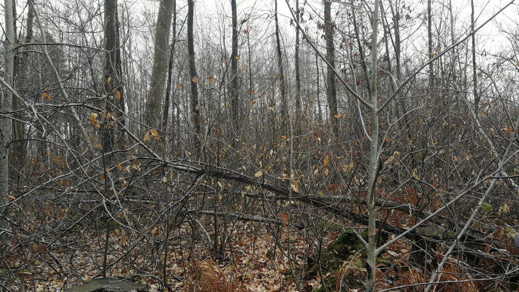 Bien manœuvrer dans la&nbsp;grotte