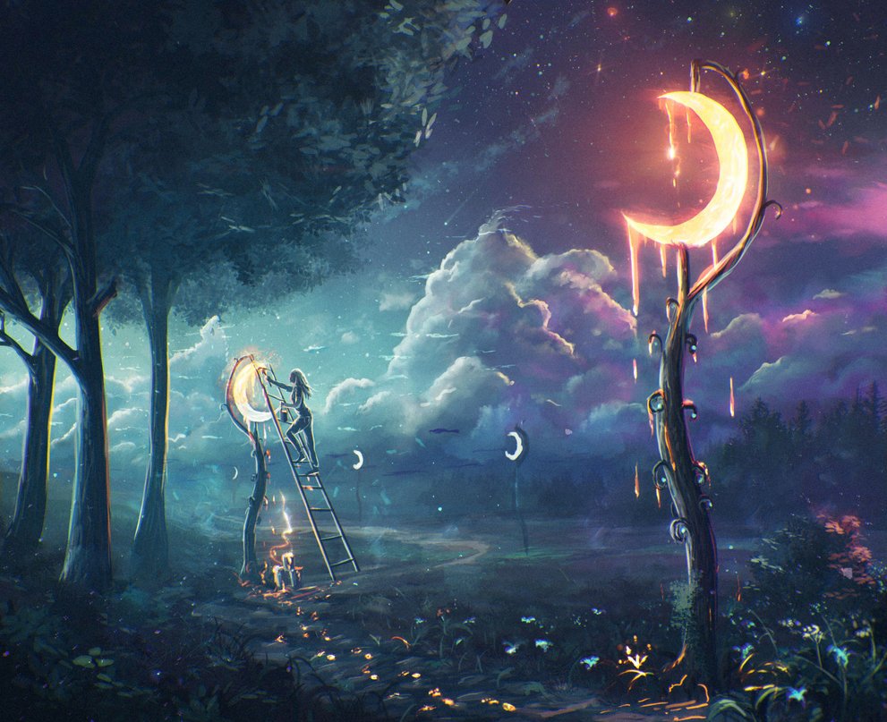Le chemin de la paix