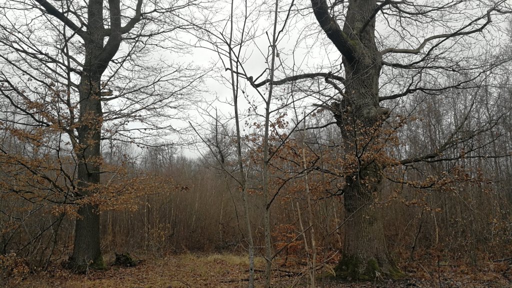 On respire et on s’ancre