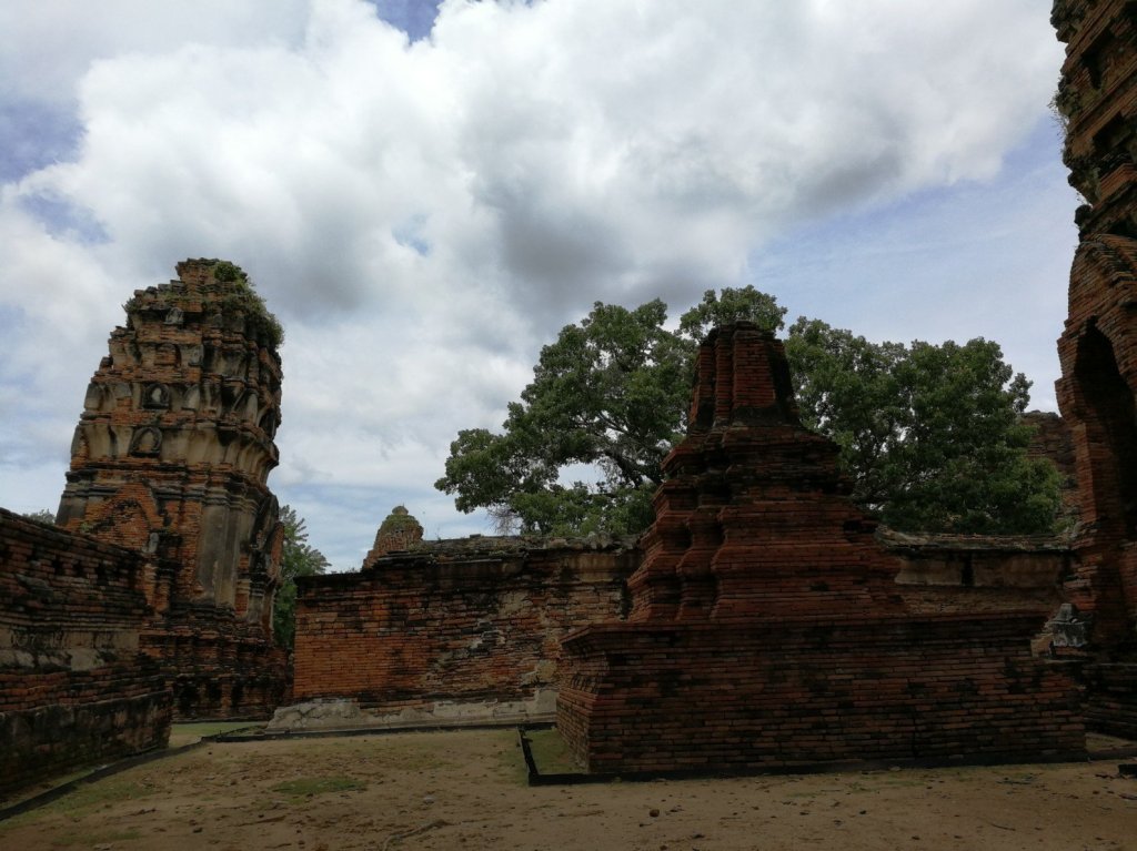 Assise sous un&nbsp;arbre