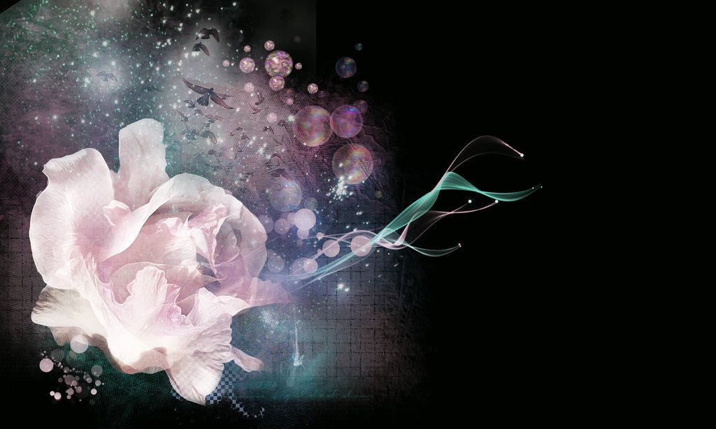 Il a mangé toute la crème&nbsp;glacée