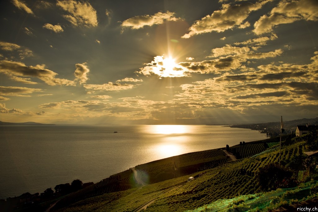 Avoir de la&nbsp;détermination