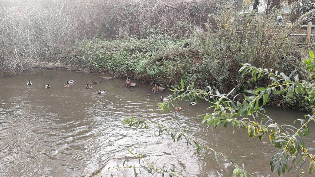 Les anges du&nbsp;Milieu