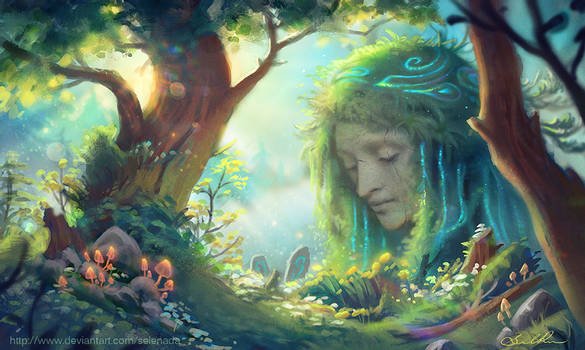 Sous l&rsquo;arbre de la&nbsp;situation