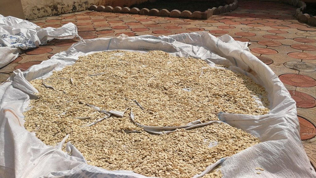 L’appel aux ancêtres