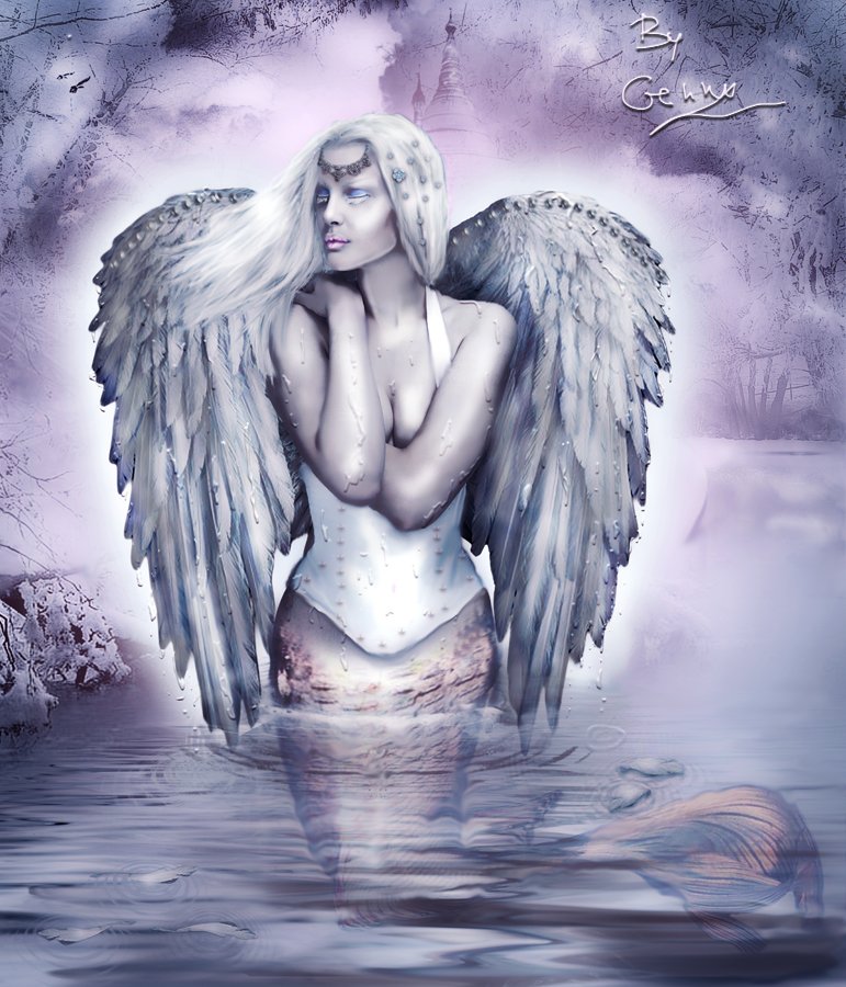 Continue d&rsquo;aimer