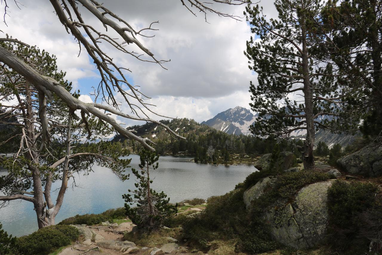 La petite rivière