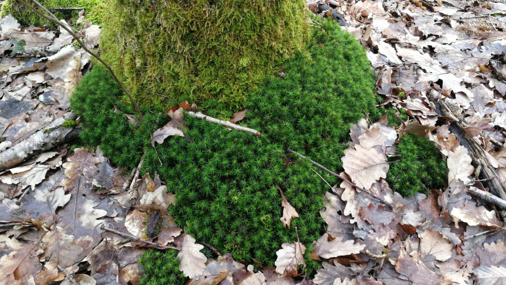 Que de fils ! Que de fils&nbsp;!