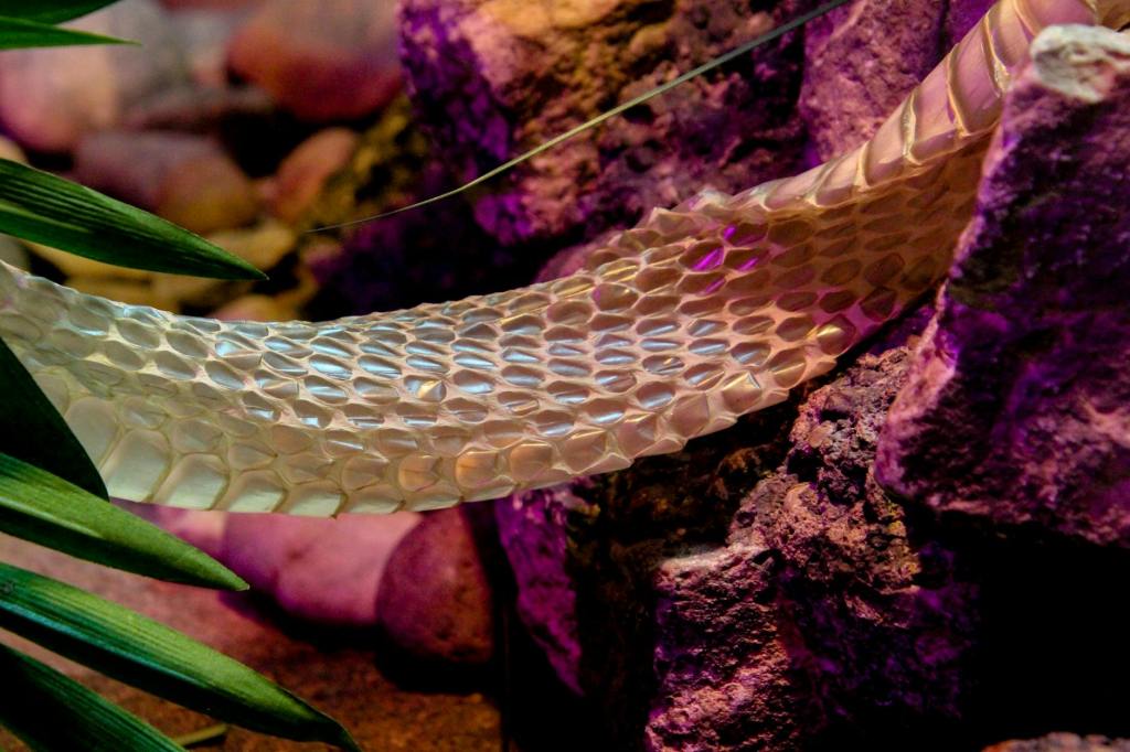 Série &laquo;&nbsp;Les 53 Piliers du nouveau cycle&nbsp;&raquo;: Dissolution ou effondrement ? Comment distinguer une mue d’une&nbsp;fuite